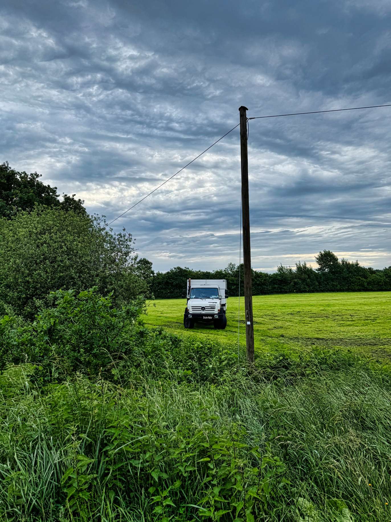 Karl auf einer Wiese irgendwo im Nirgendwo
